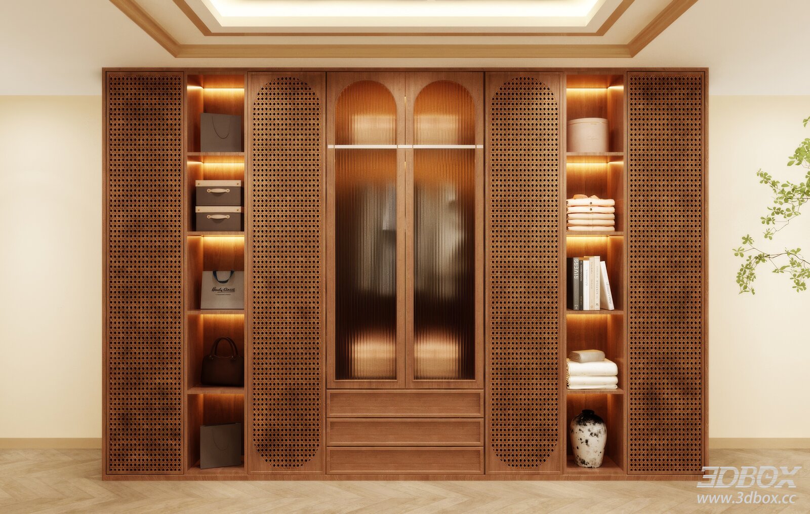 Modern Wooden Rattan Wardrobe with Glass Door and Built-in Light 3D model - front view