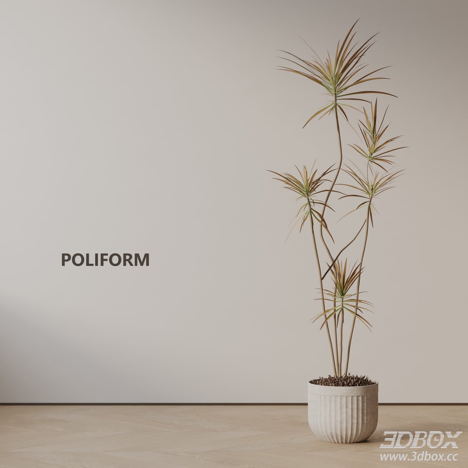Modern Dracaena Potted Indoor Plant 3D model - thumbnail 1