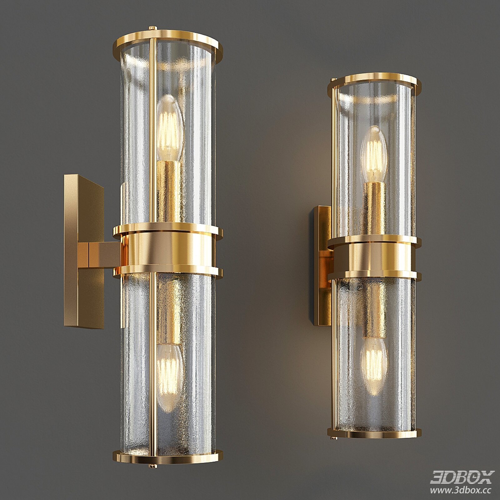 Modern Brass Double Bulb Textured Glass Wall Sconce 3D model - front view
