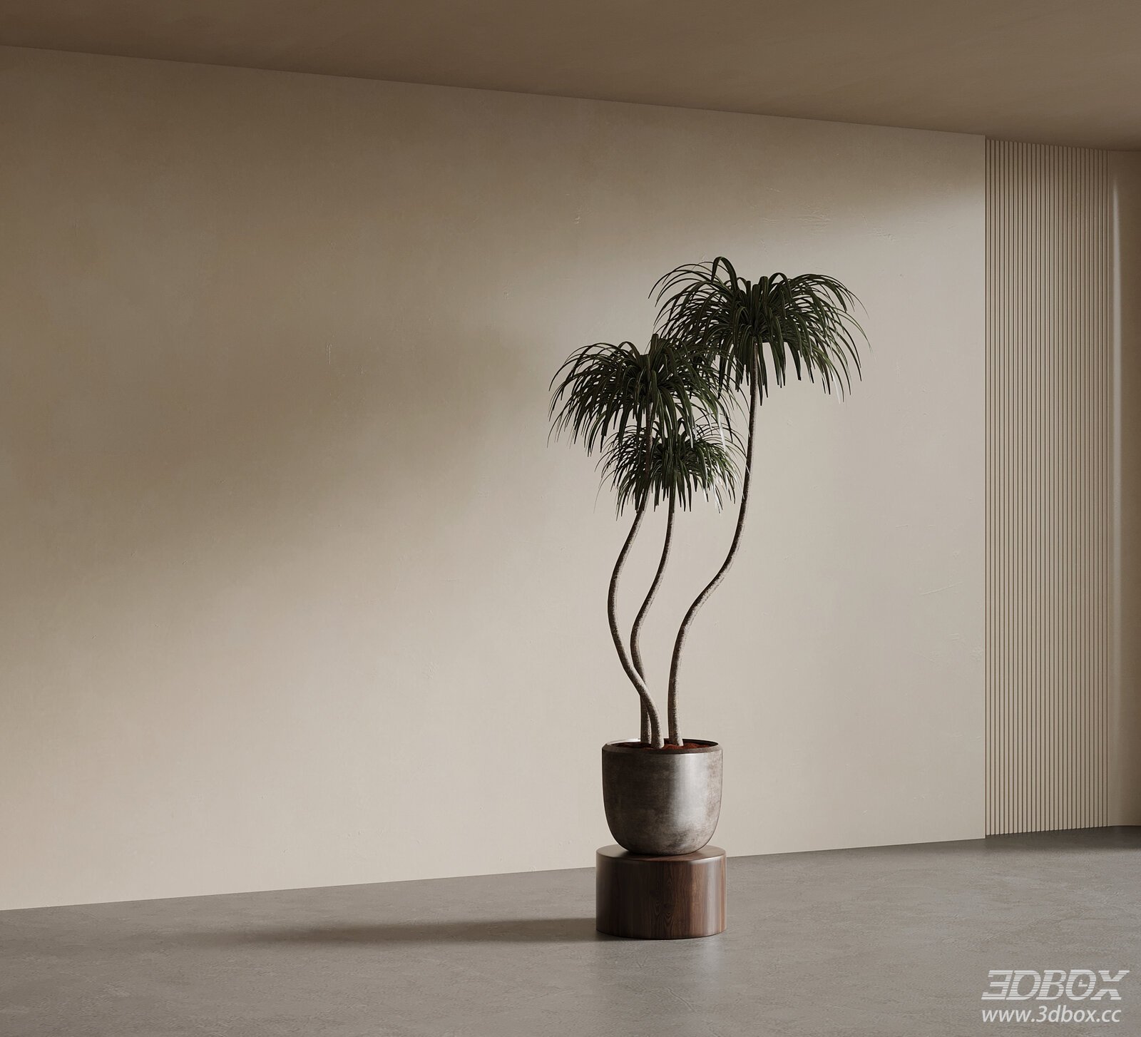 Mid Century Style Indoor Dracaena Potted Plant 3D model - front view