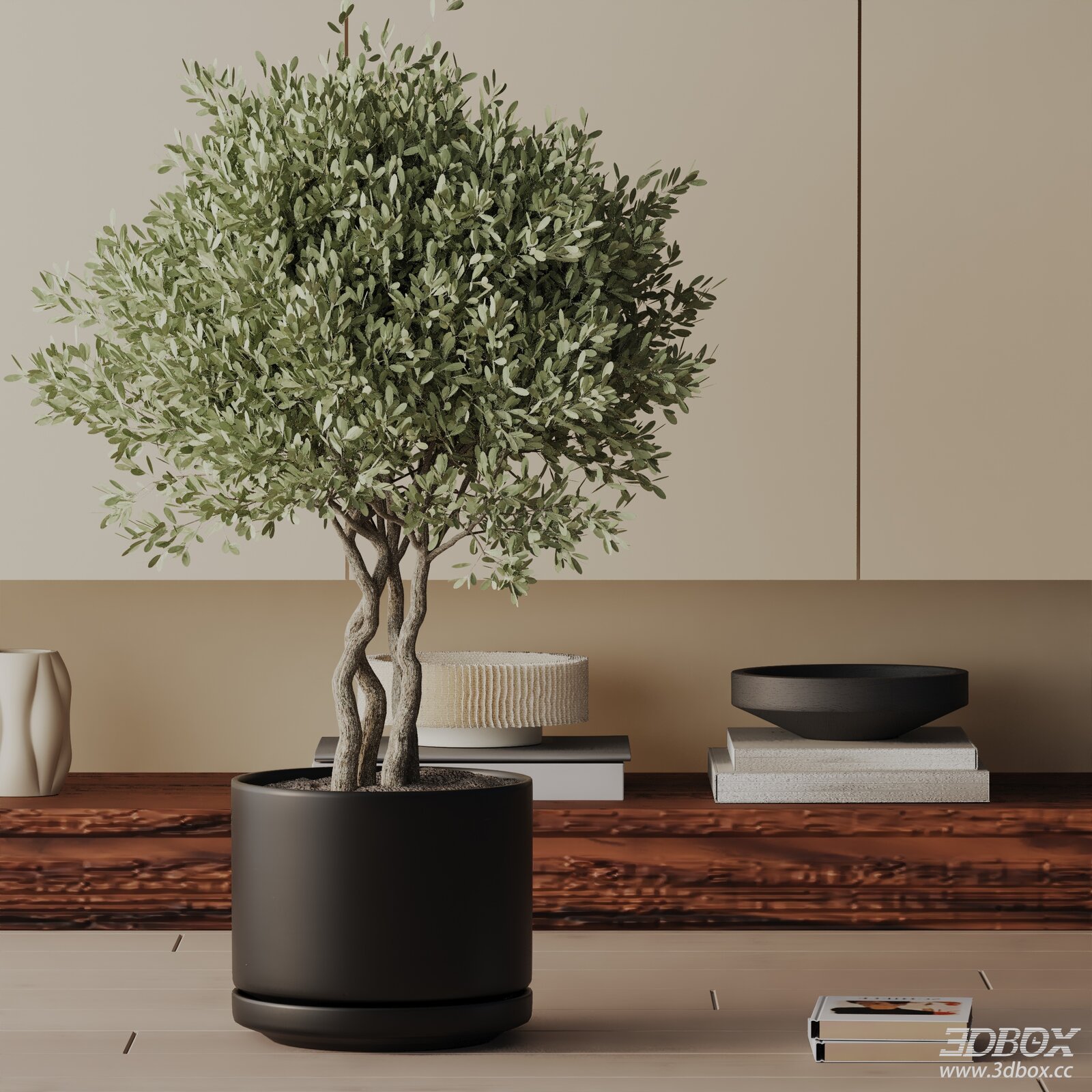Modern Potted Olive Indoor Plant 3D model - front view