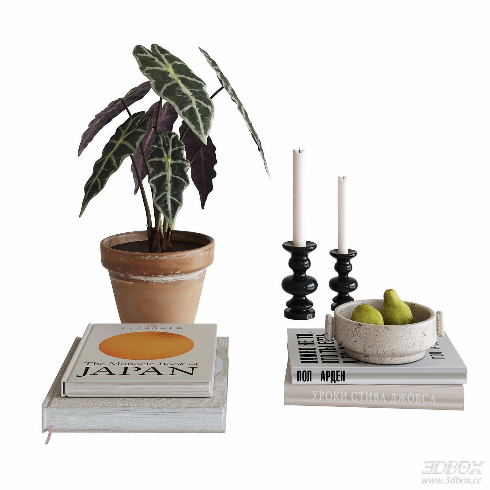 Mid Century Modern Table Decor Set with Plant Books and Candle Holders 3D model - front view